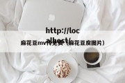 麻花豆mv传免费（麻花豆腐图片）